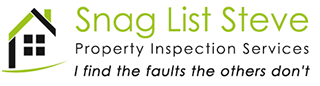 Snag List Steve